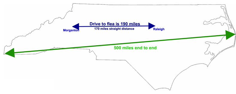 nc_map_for_morganton_flea